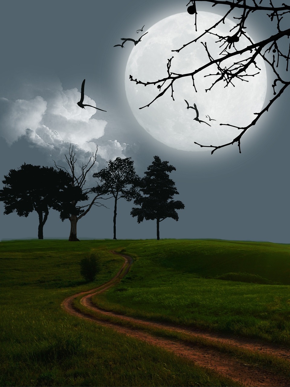 our-story-02 moon, field, digital art, fantasy, night, evening, dark, full moon, trail, meadow, scenery, landscape, moon, moon, moon, moon, moon